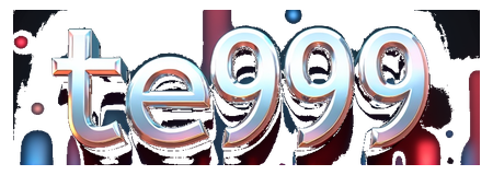 te999 logo